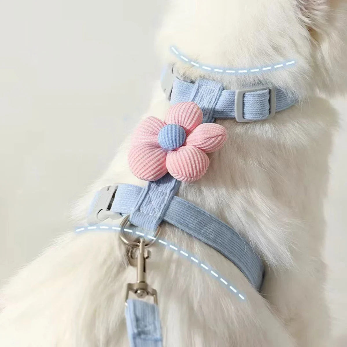 Harnais & Laisse pour Chat – Kit Réglable Doux & Sécurisé