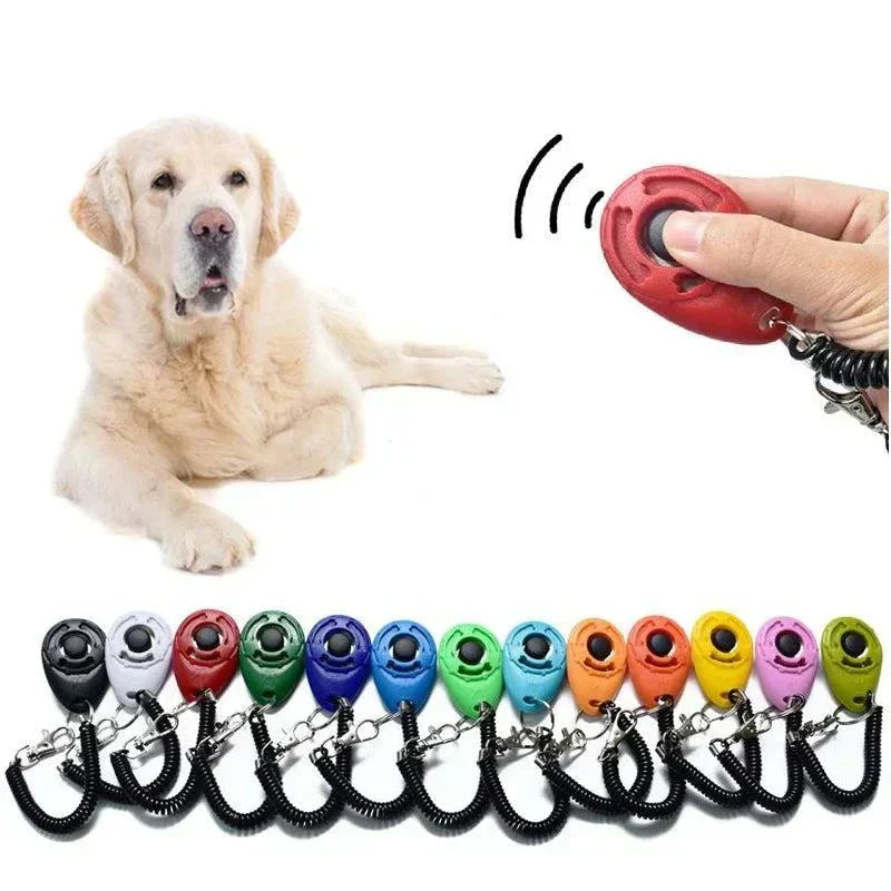 Clicker dressage premium ergonomique pour chien et chat avec bracelet réglable, entraînement positif simple et efficace