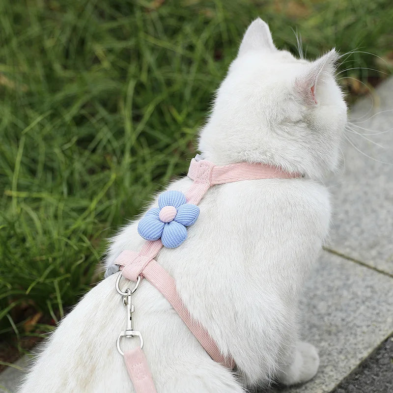 Harnais & Laisse pour Chat – Kit Réglable Doux & Sécurisé