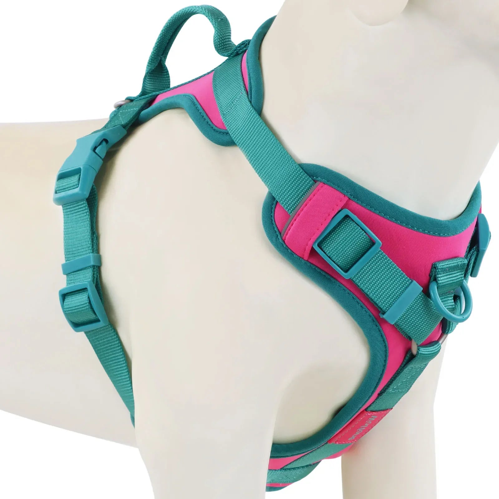"Harnais Confort Premium – Sans Traction".