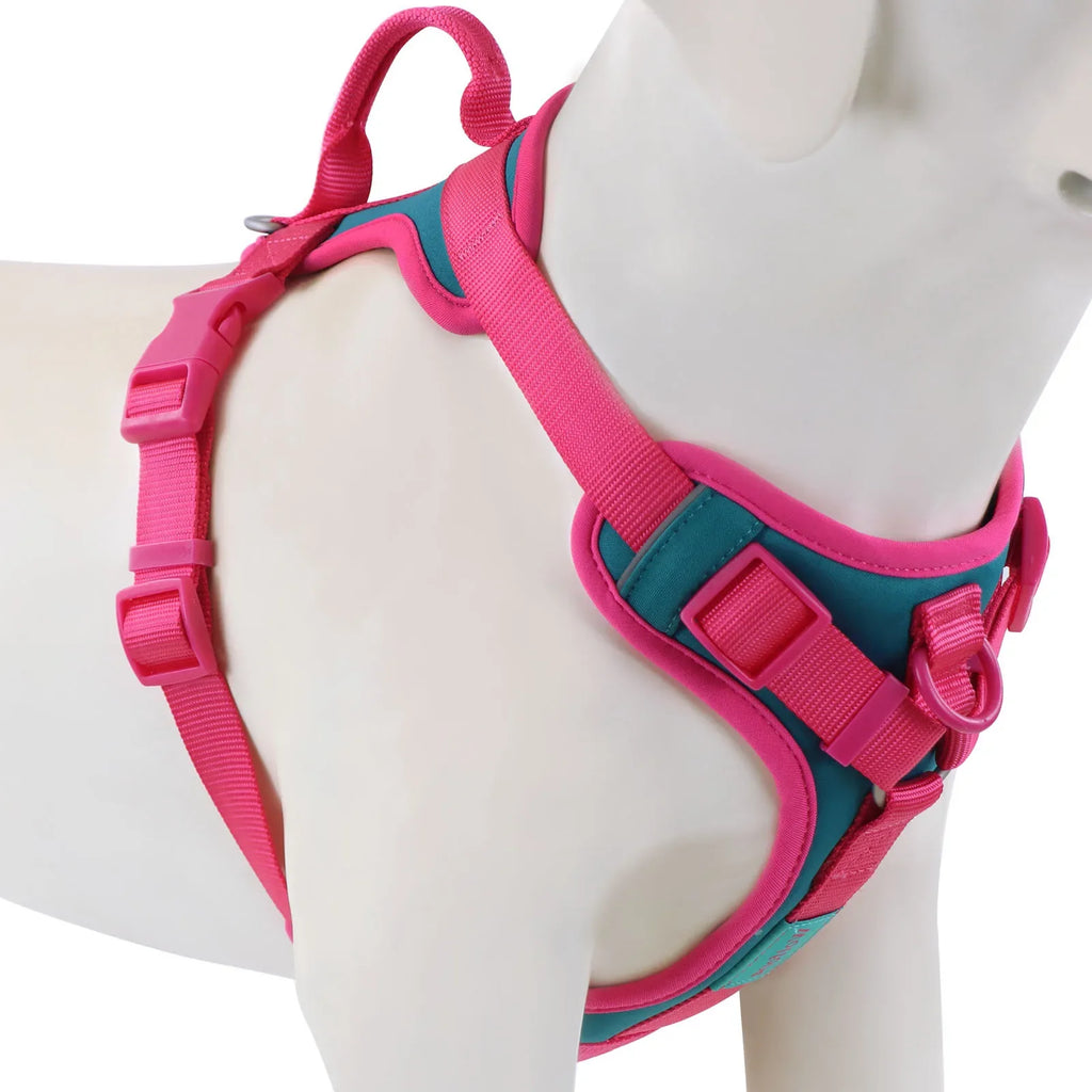 "Harnais Confort Premium – Sans Traction".