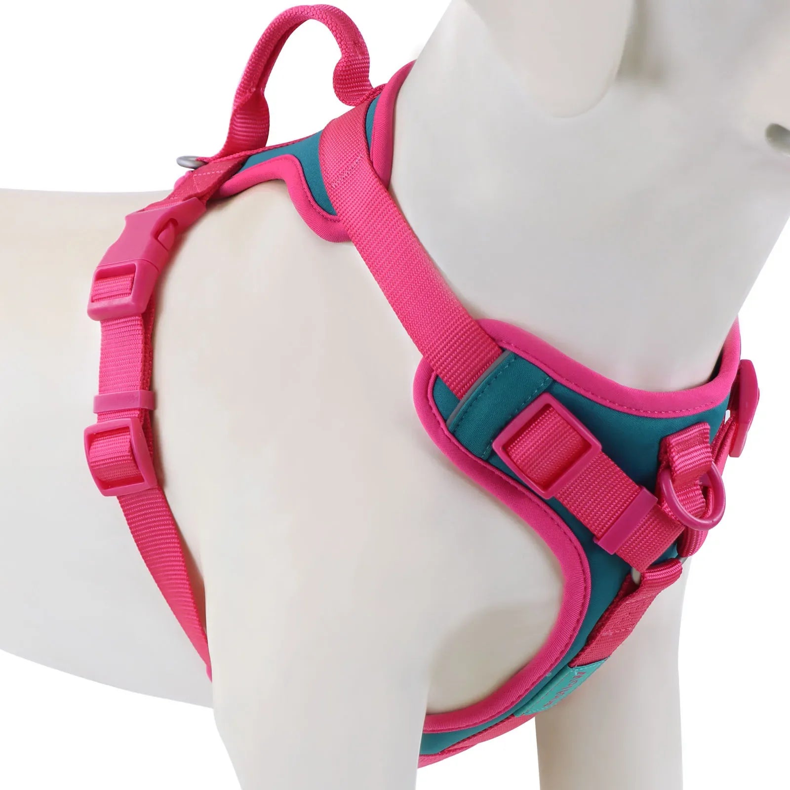 "Harnais Confort Premium – Sans Traction".
