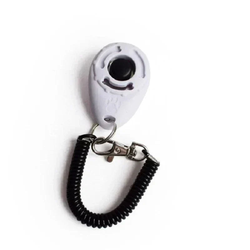Clicker dressage premium avec bracelet pour entraînement positif chiens et chats