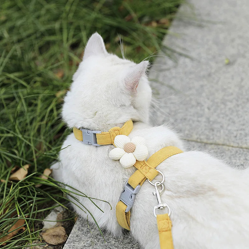 Harnais & Laisse pour Chat – Kit Réglable Doux & Sécurisé