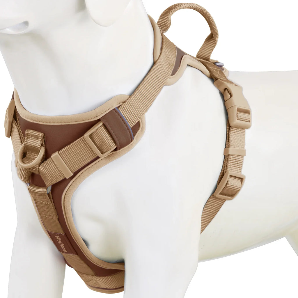 "Harnais Confort Premium – Sans Traction".